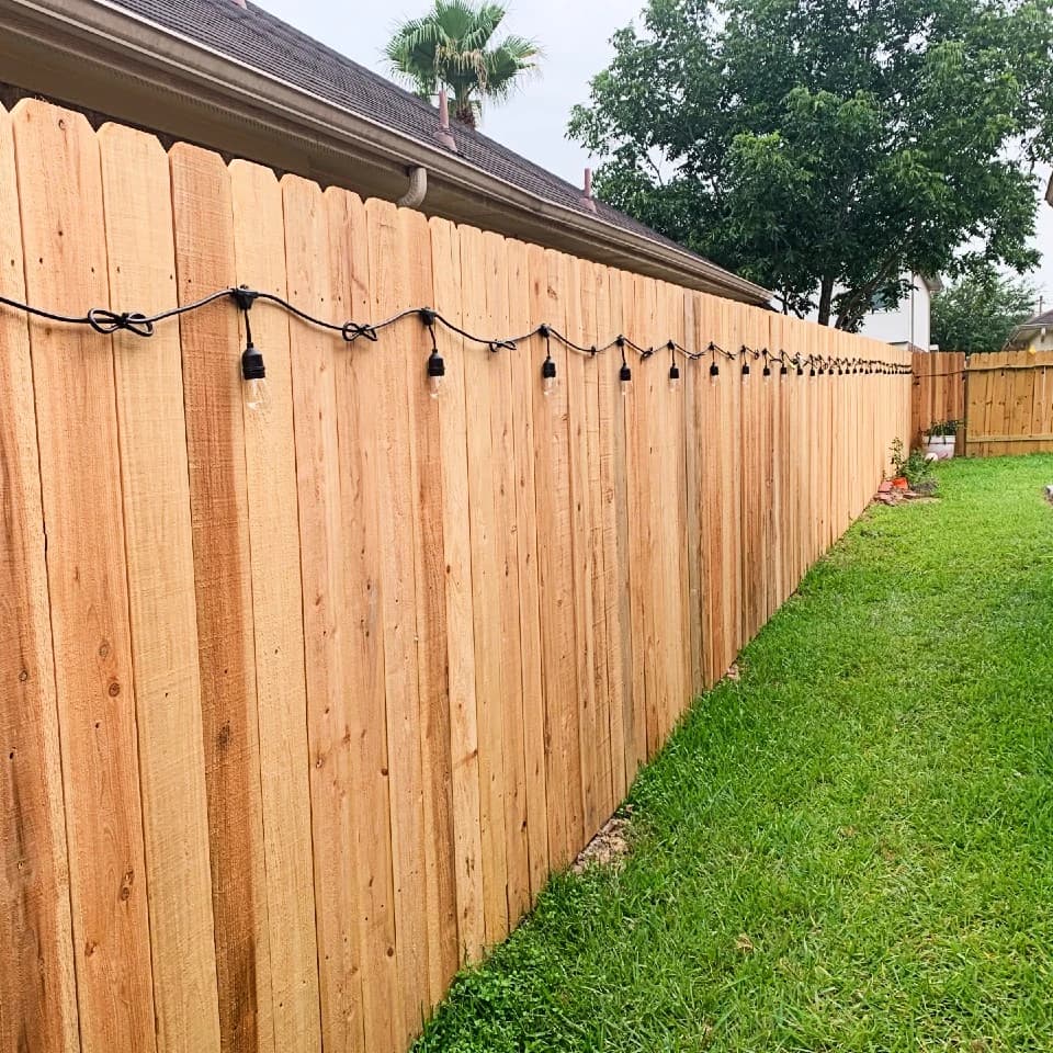 Fences