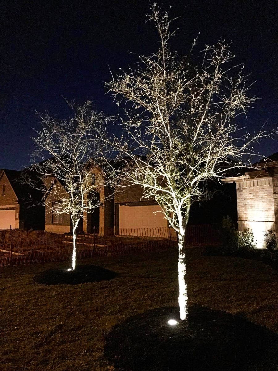 Landscape Lights gallery image 2