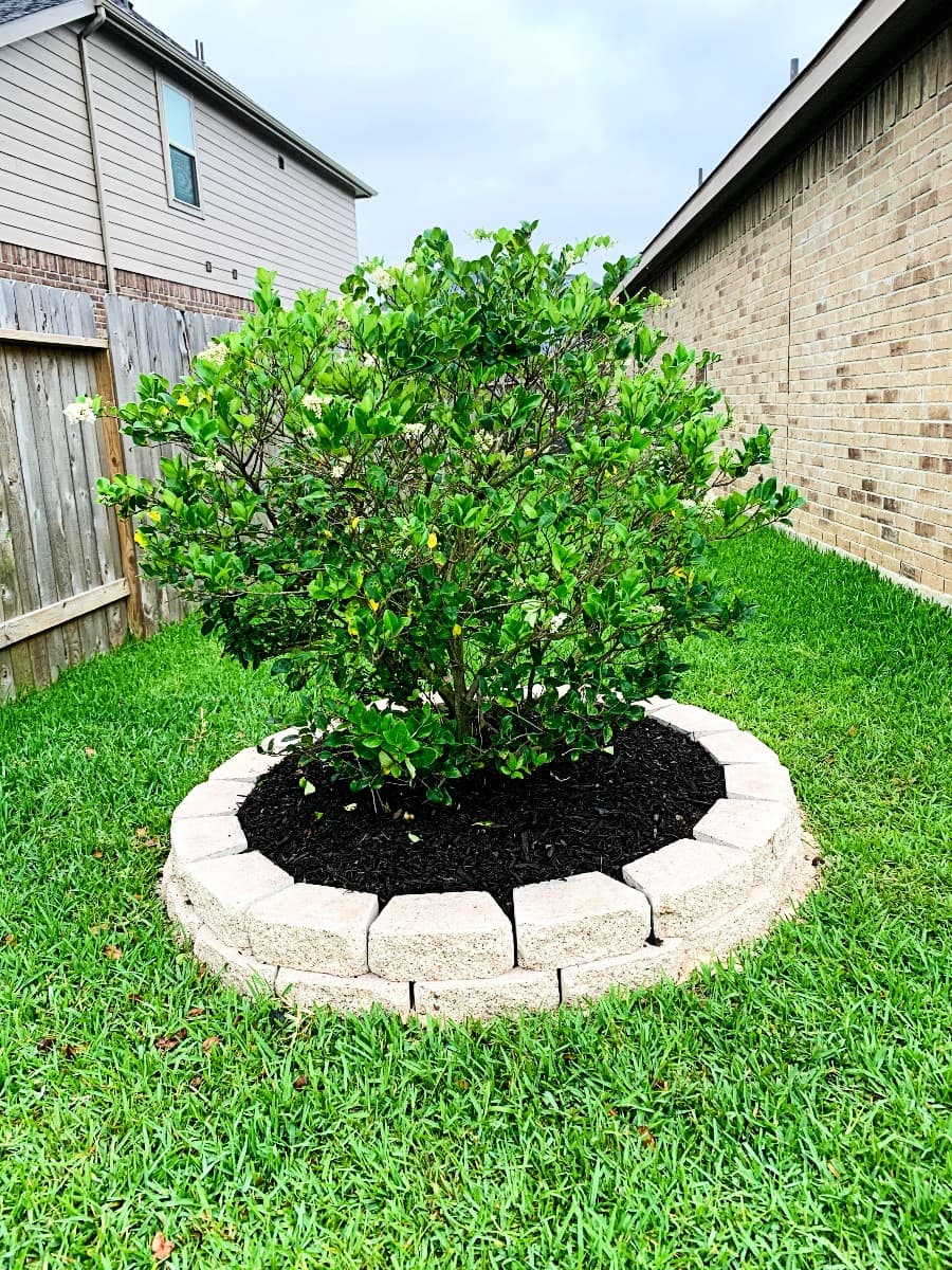 Retaining Walls gallery image 6