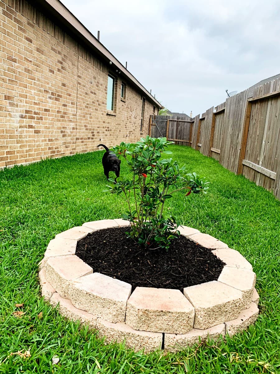 Retaining Walls gallery image 8
